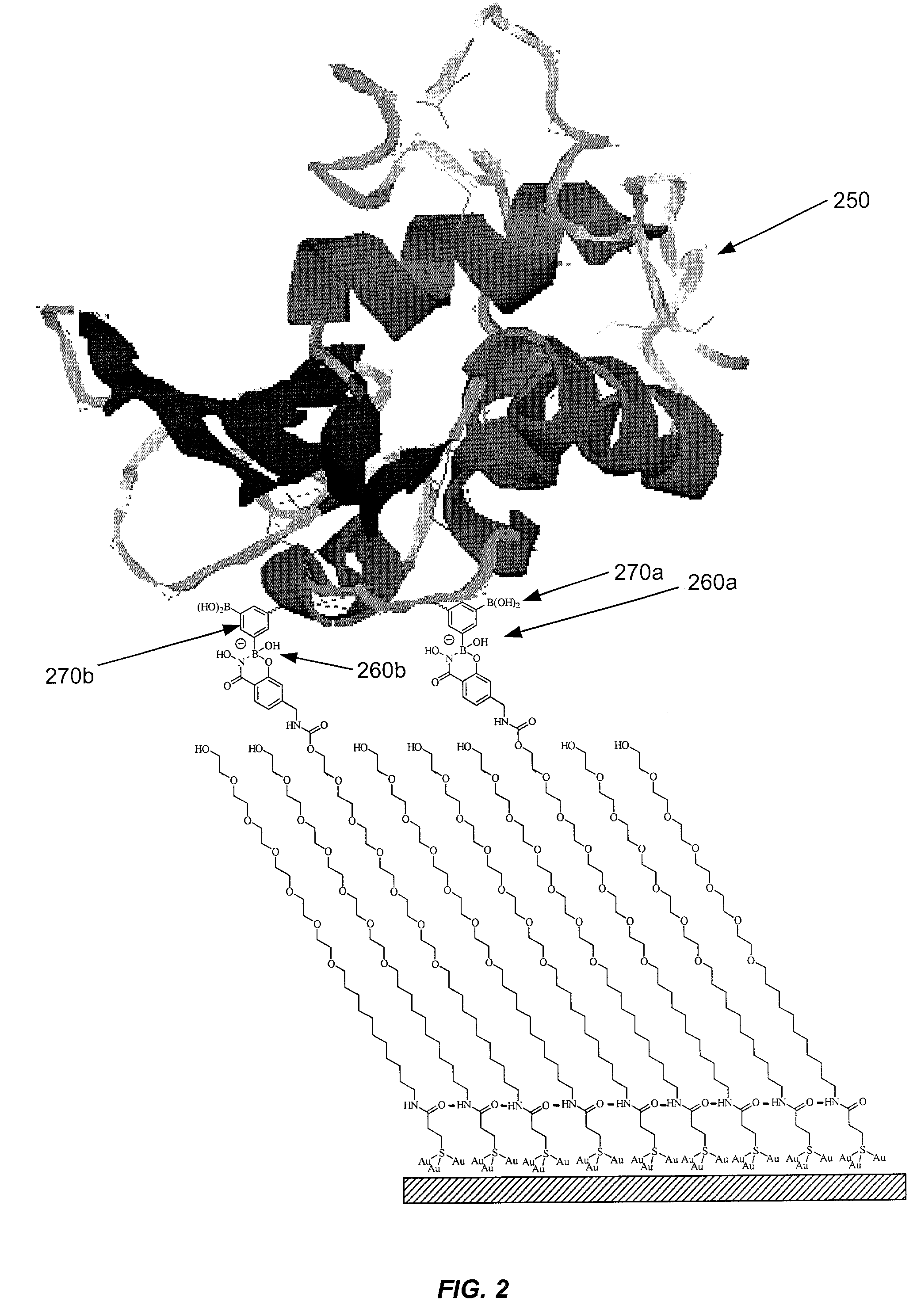 Sensor surfaces for detecting analytes and methods of use