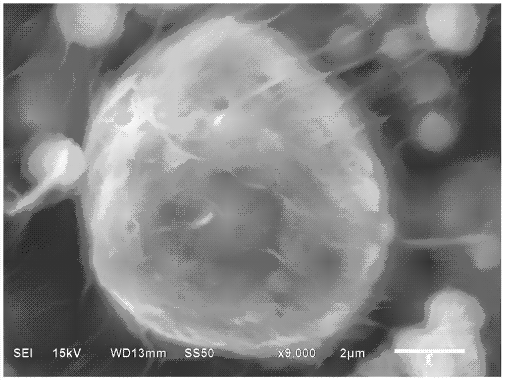 A kind of metal/graphene composite material and preparation method thereof