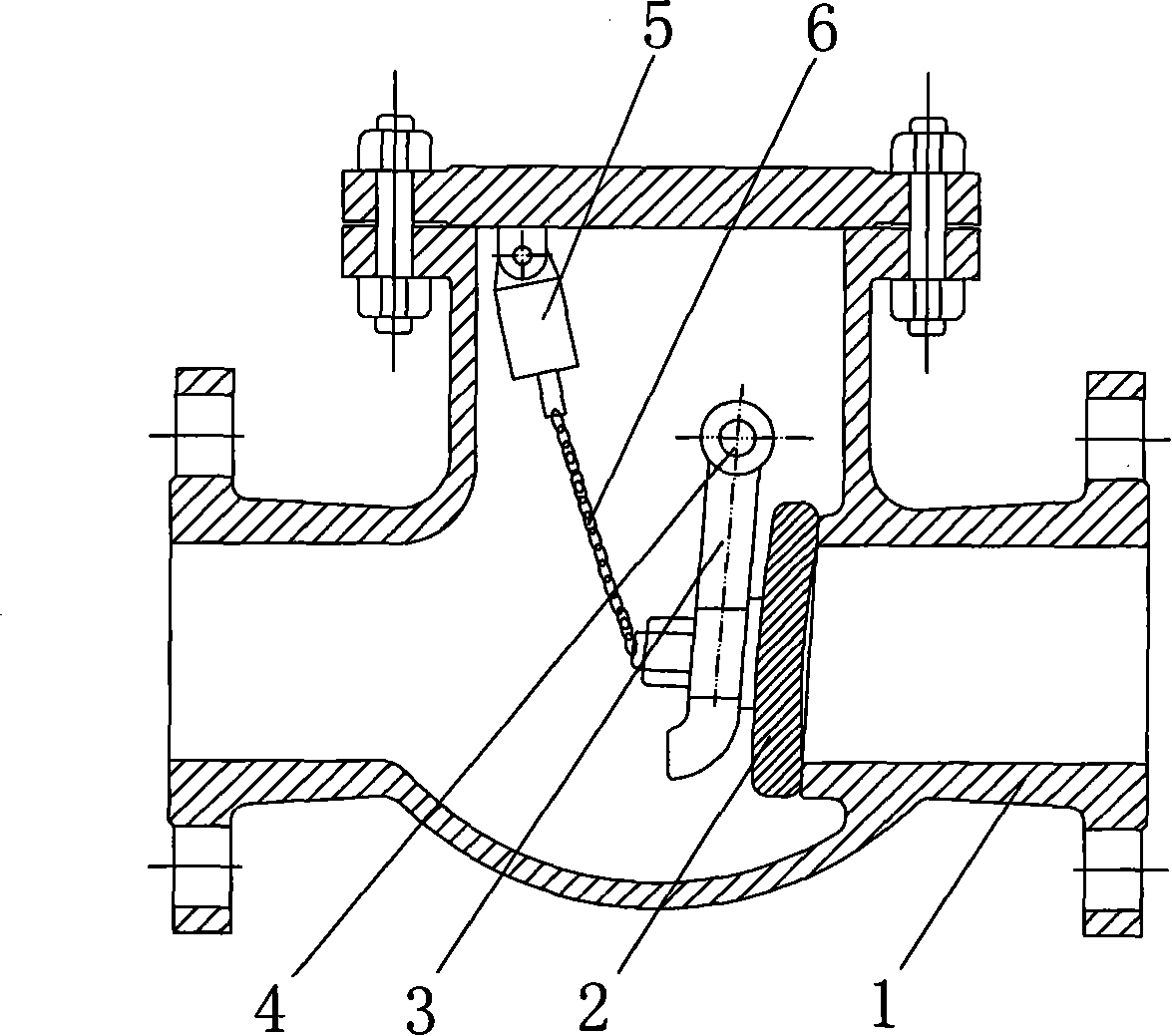 Check valve