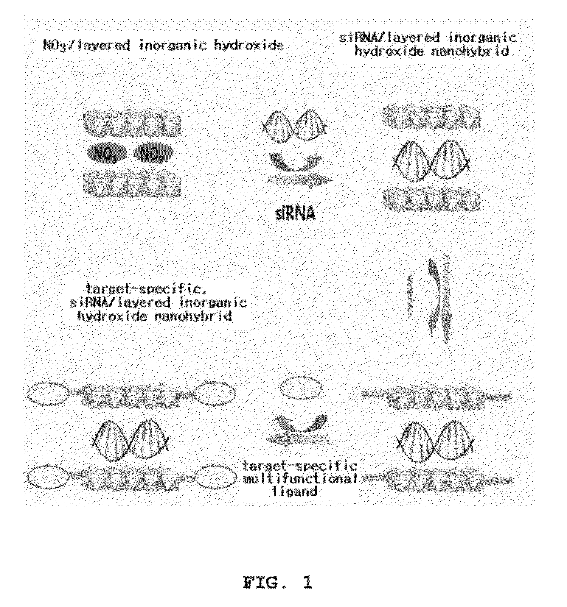 Nano-hybrid of targetable sirna-layered inorganic hydroxide, manufacturing method thereof, and pharmaceutical composition for treating tumor comprising the nano-hybrid