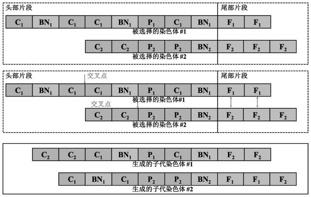 Neural network construction system, method and storage medium of variable-length gene genetic algorithm