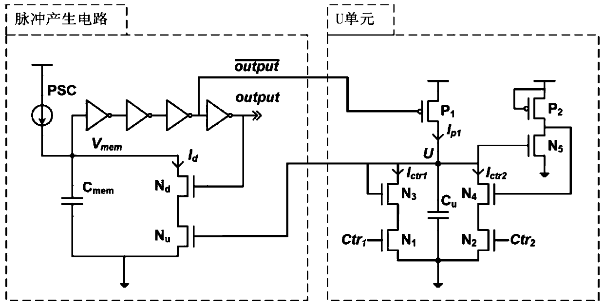 Neuronal circuits and neuromorphic circuits