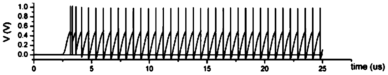 Neuronal circuits and neuromorphic circuits