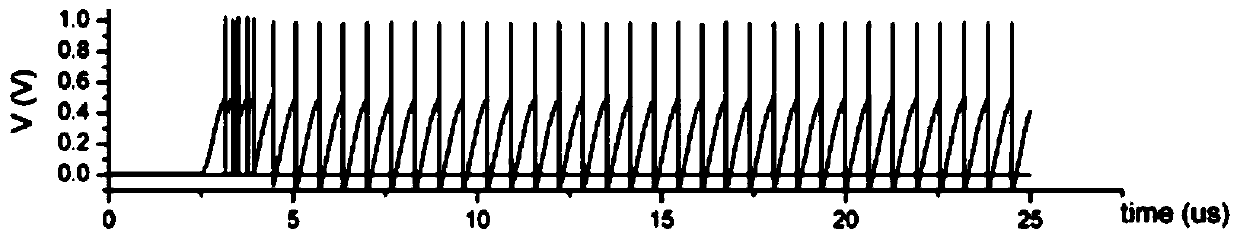 Neuronal circuits and neuromorphic circuits