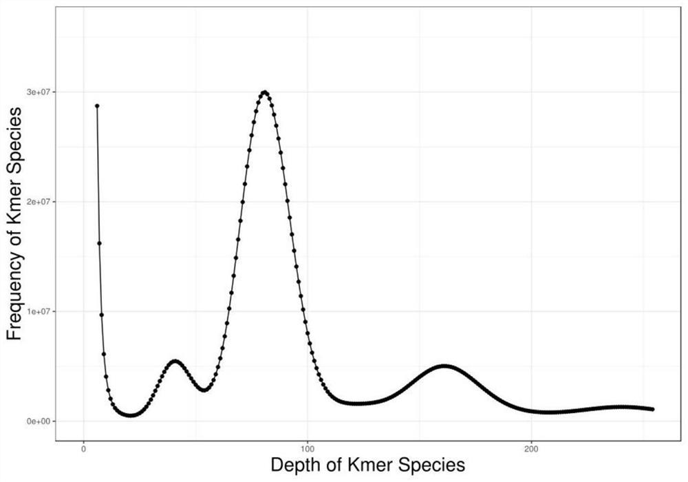 Method for assembling and annotating genome of Hoba Tibetan sheep based on three-generation PacBio and Hi-C technologies