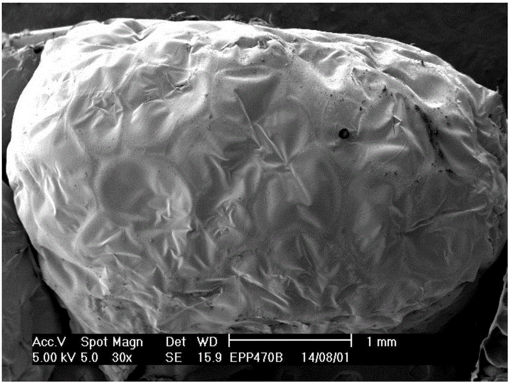 High-melt strength high-impact polypropylene foaming expanded beads and preparation method thereof