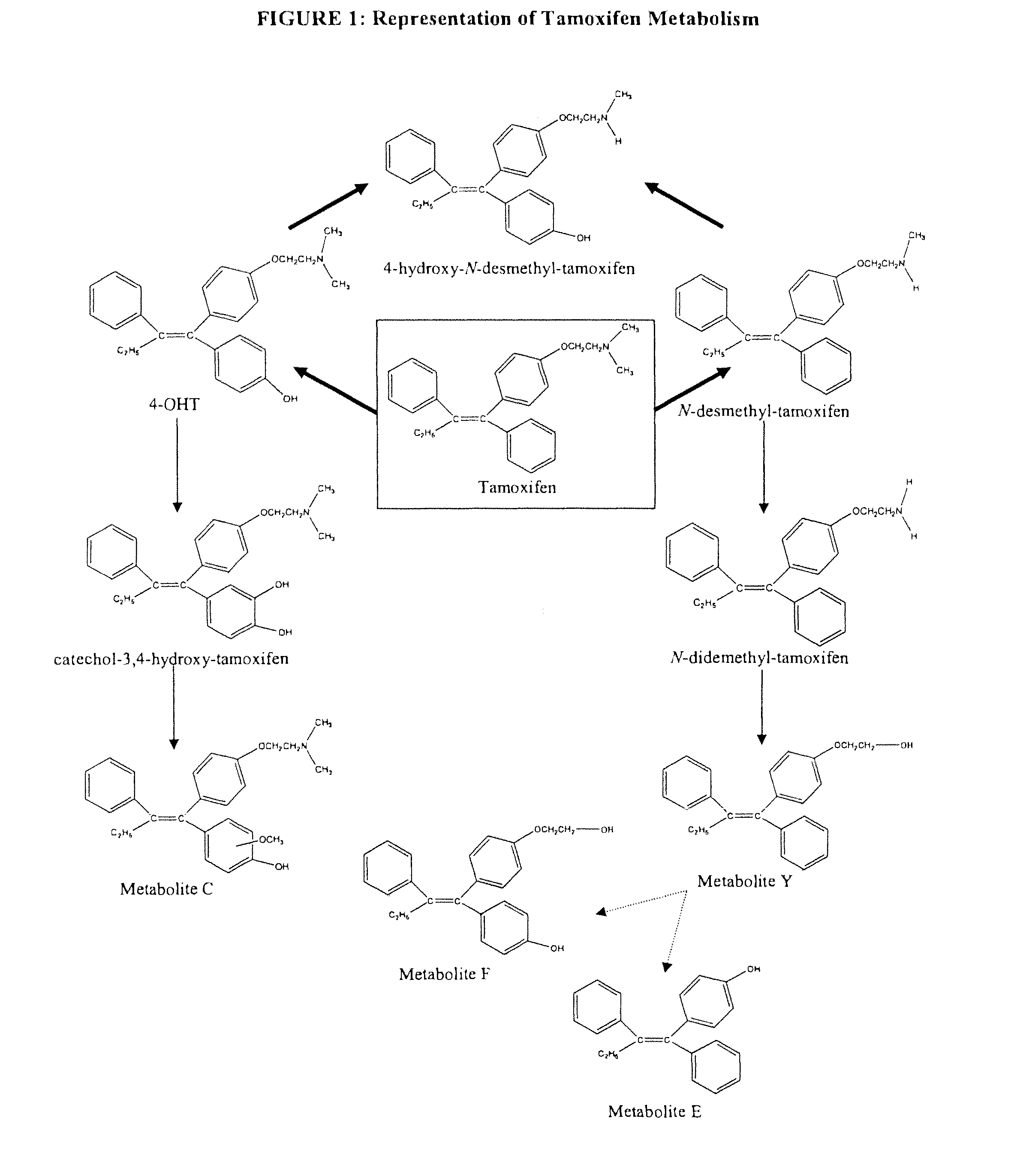 Treatment and prevention of excessive scarring with 4-hydroxy tamoxifen