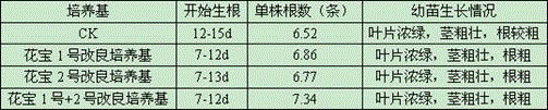 Tissue culture method of dendrobium officinale