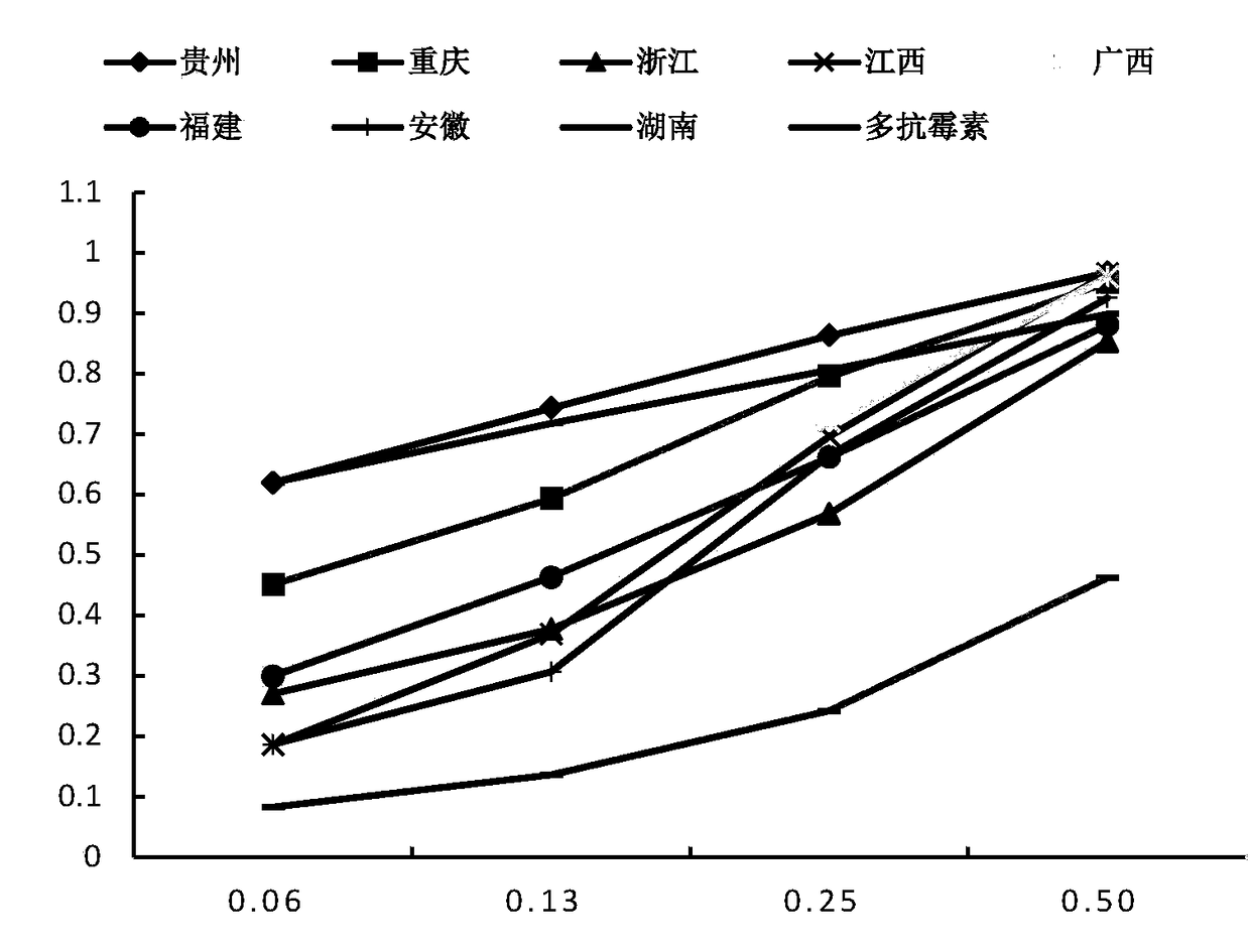 Litsea cubeba essential oil and preparation method and application thereof