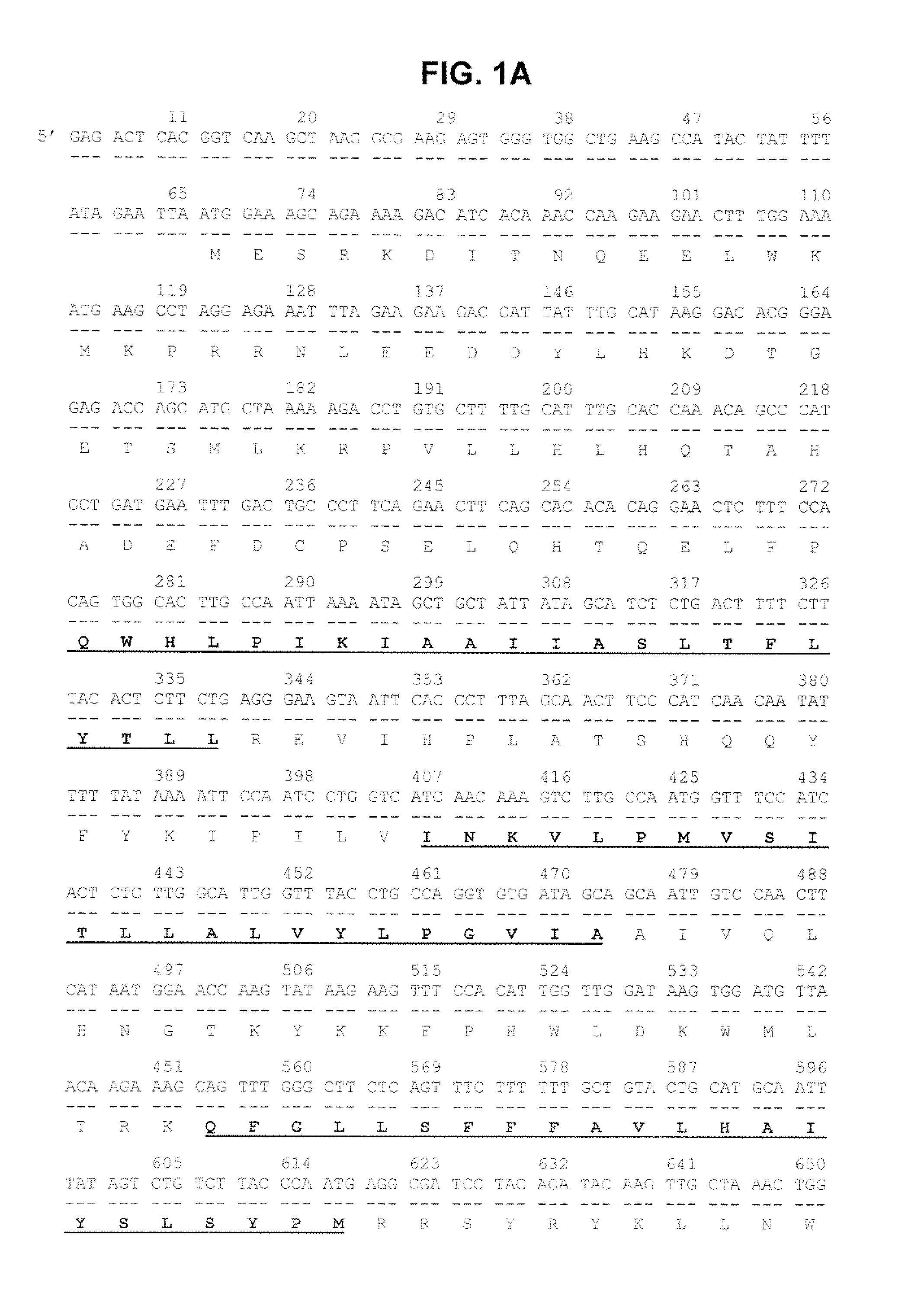 Serpentine transmembrane antigens expressed in human cancers and uses thereof