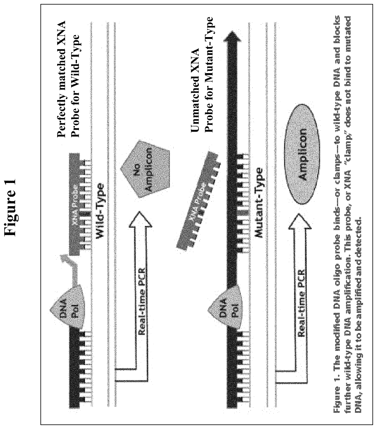 DNA mutation detection employing enrichment of mutant polynucleotide sequences and minimally invasive sampling