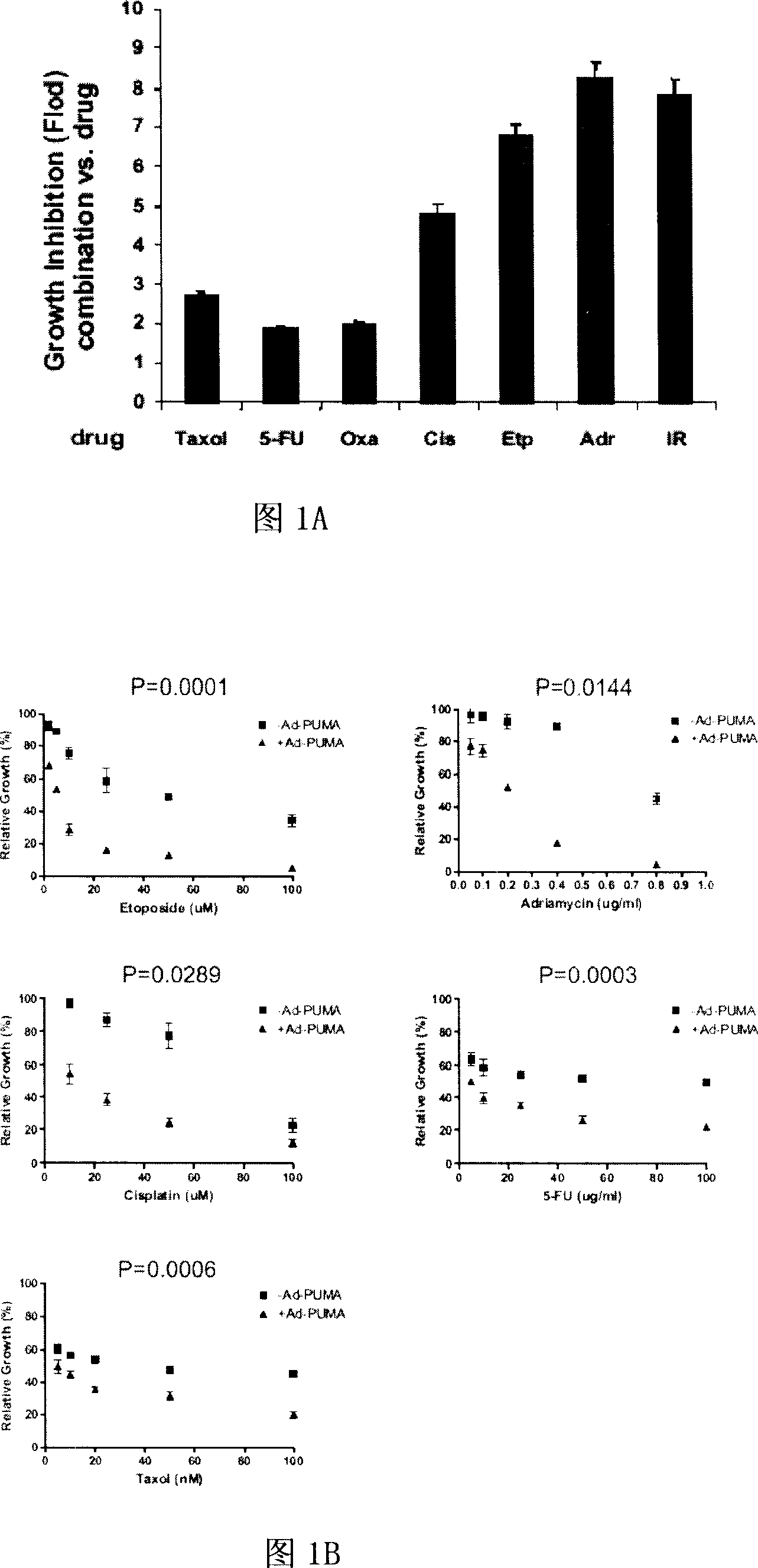 Use of PUMA in tumor chemoradiotherapy sensibilization