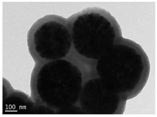 A bifunctional monomer double imprinted layer testosterone molecularly imprinted magnetic nanosphere and its preparation method and application