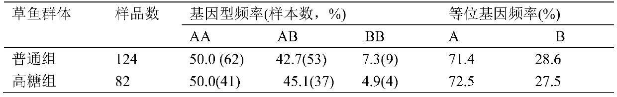 SNP marker related to sugar tolerance of grass carps and application of SNP marker