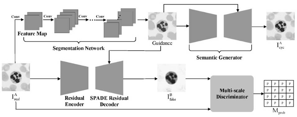 Blood leukocyte staining style conversion method based on cyclic generative adversarial network