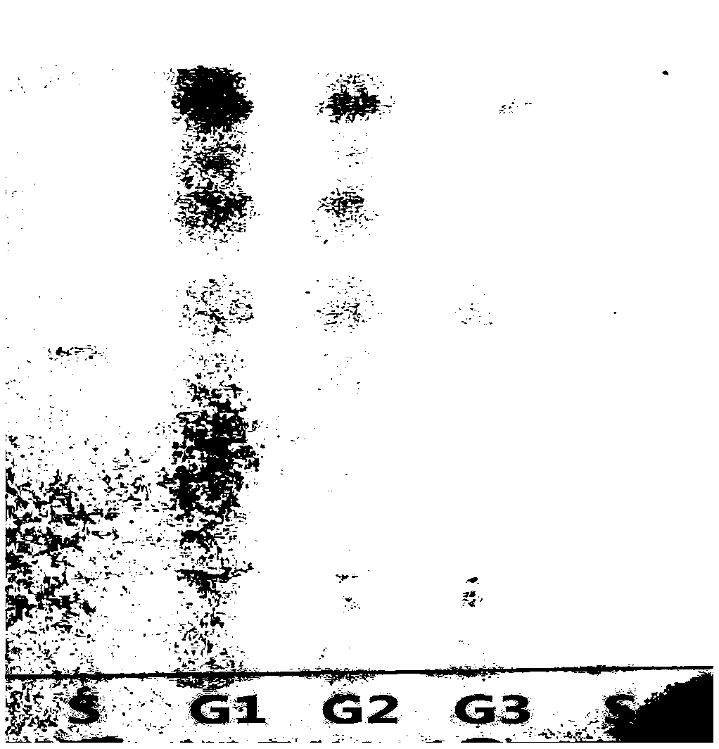 Animal radix isatidis-radix scutellariae-radix platycodi-licorice root mixture