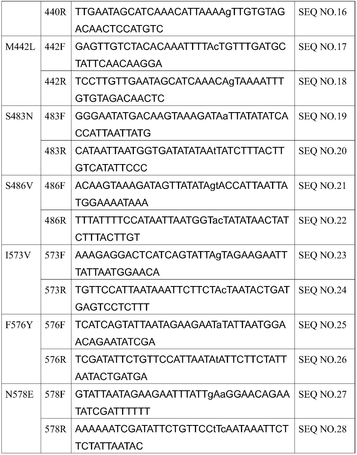 Mutants of bifunctional glutathione synthase and their application in glutathione synthesis