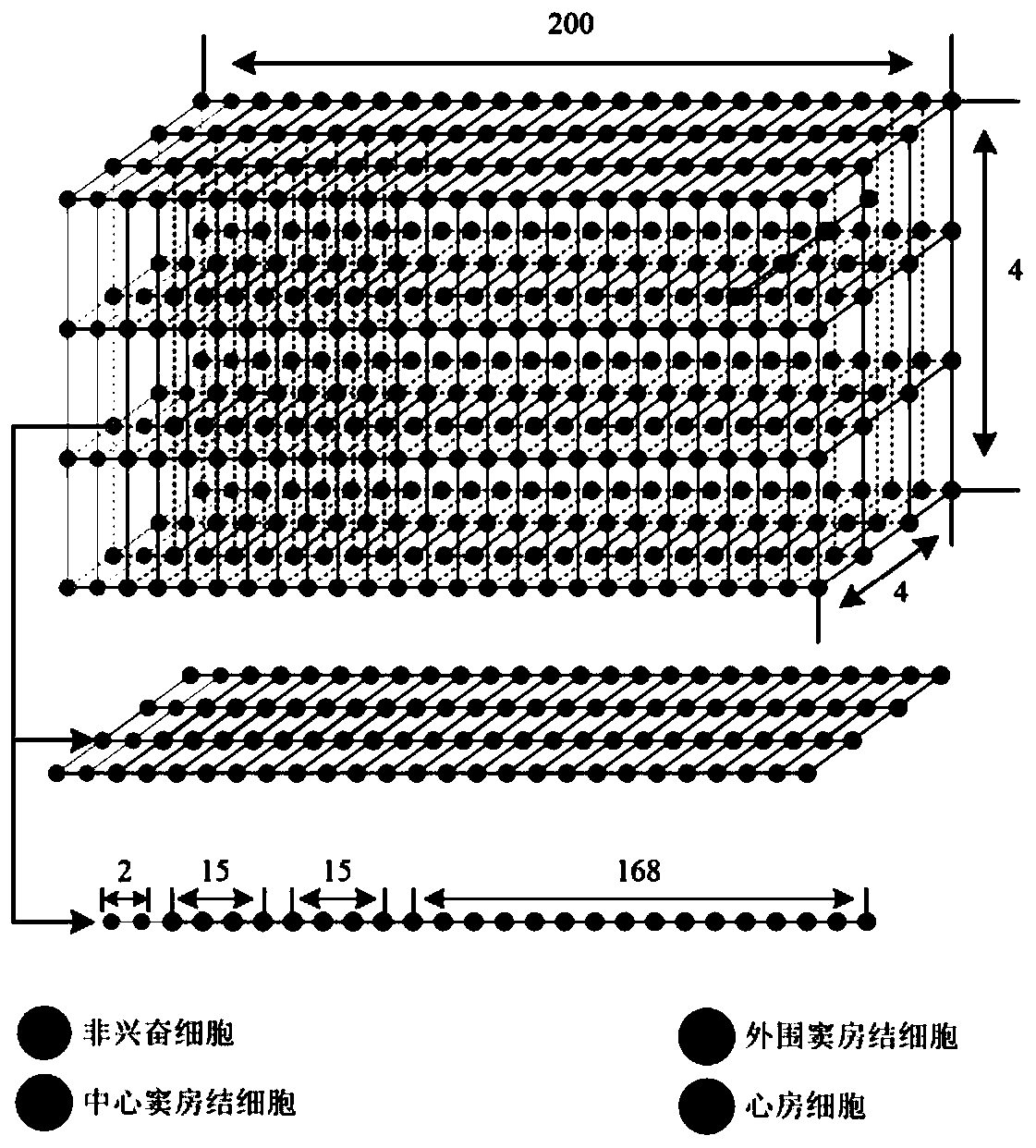 Method for constructing virtual physiological tissues of sinus node, storage medium and computing device