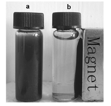 Bismuth ferrite-graphene compounding magnetism visible light catalyst, as well as preparation method and application of same