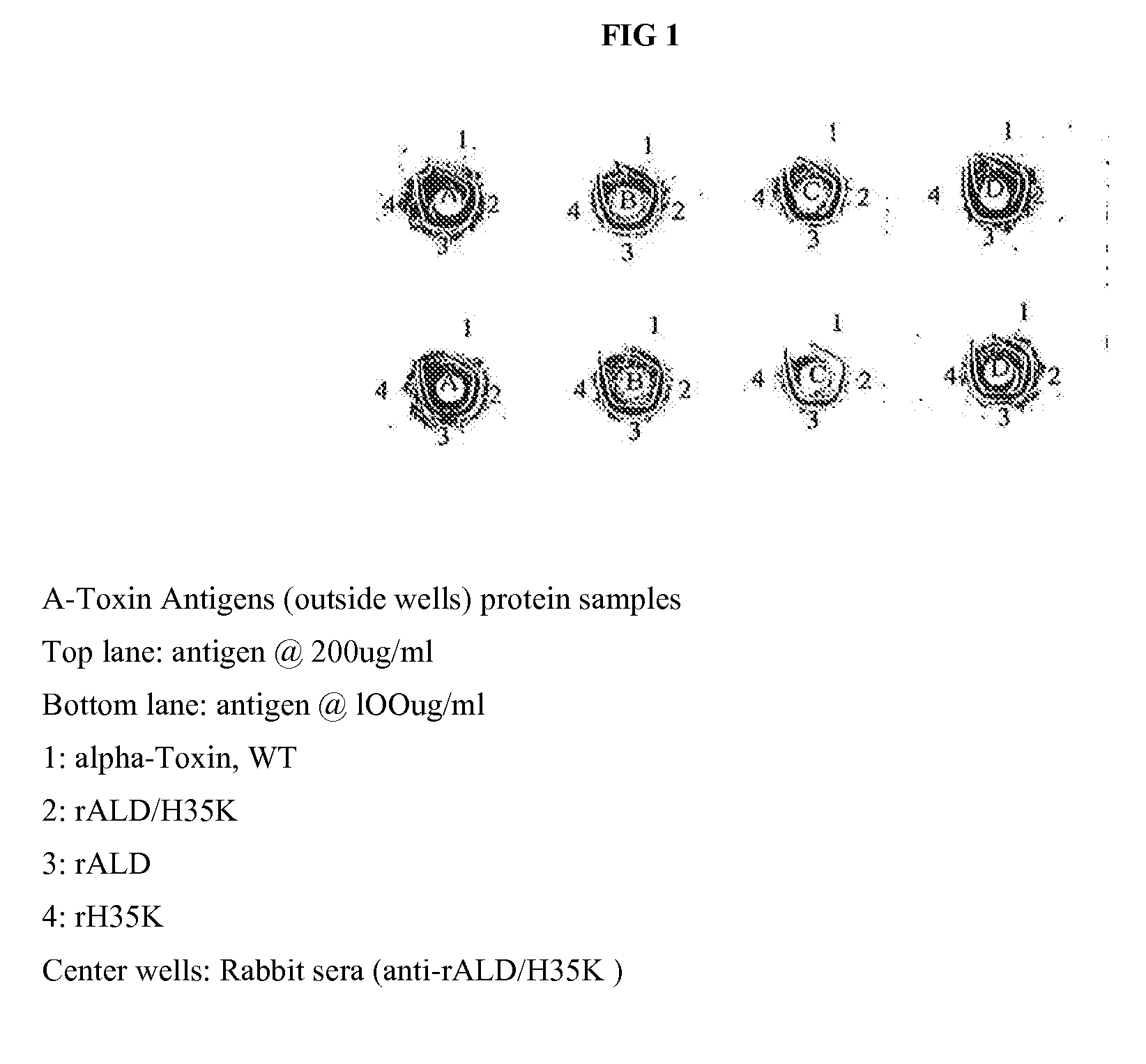 Use of alpha-toxin for treating and preventing  staphylococcus infections