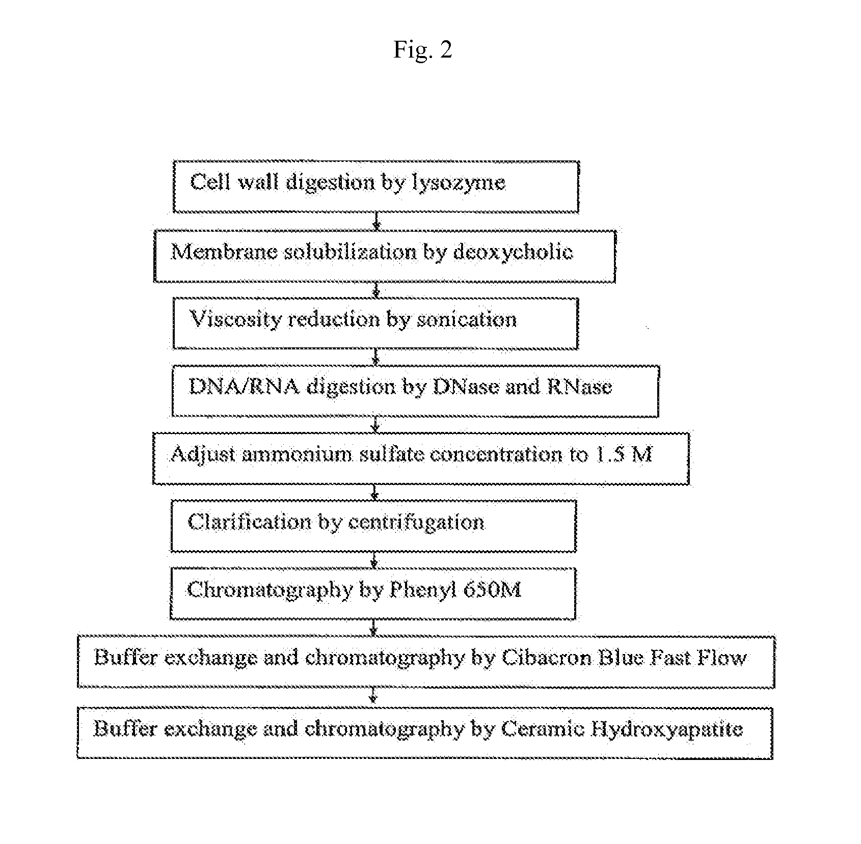 Use of alpha-toxin for treating and preventing  staphylococcus infections