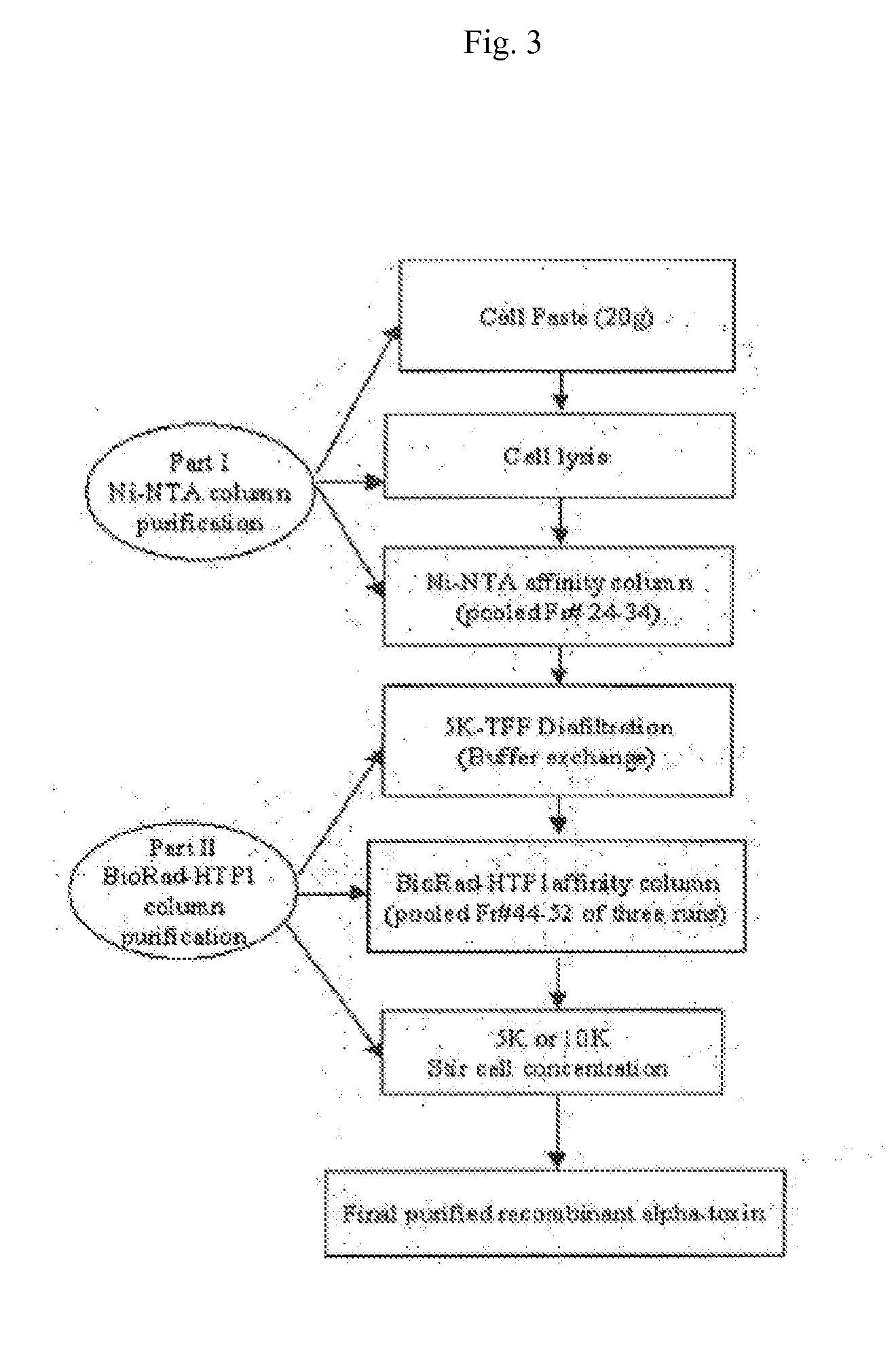 Use of alpha-toxin for treating and preventing  staphylococcus infections