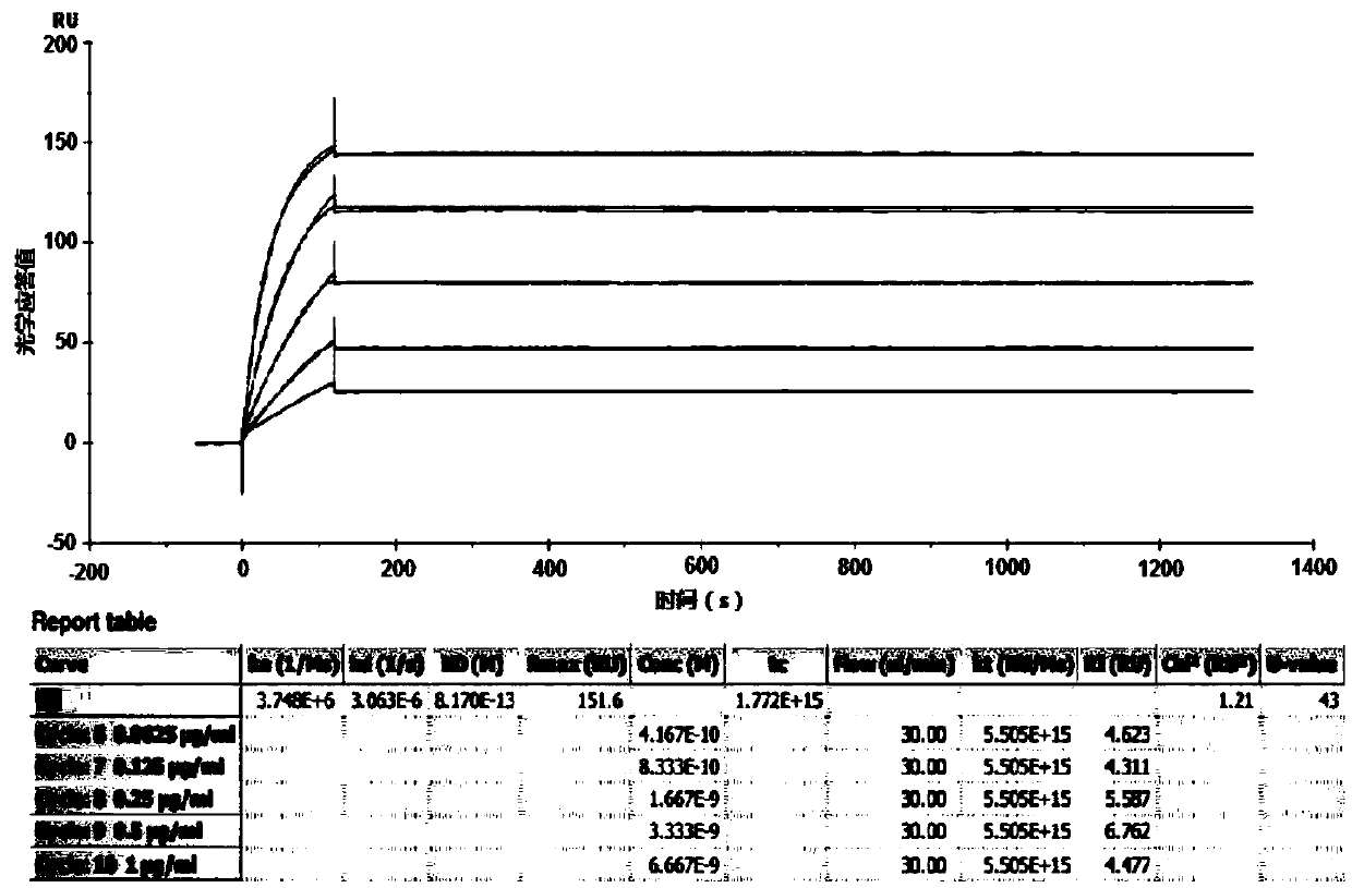 Recombinant anti-PD-L1 monoclonal antibody