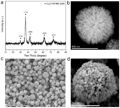 Preparation method for loosened porous cuprous oxide material and application of cuprous oxide in electrocatalytic reduction of carbon dioxide