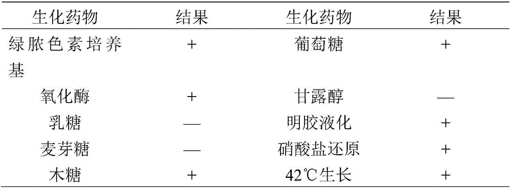 Inactivated vaccine for mink pseudomonas aeruginosa