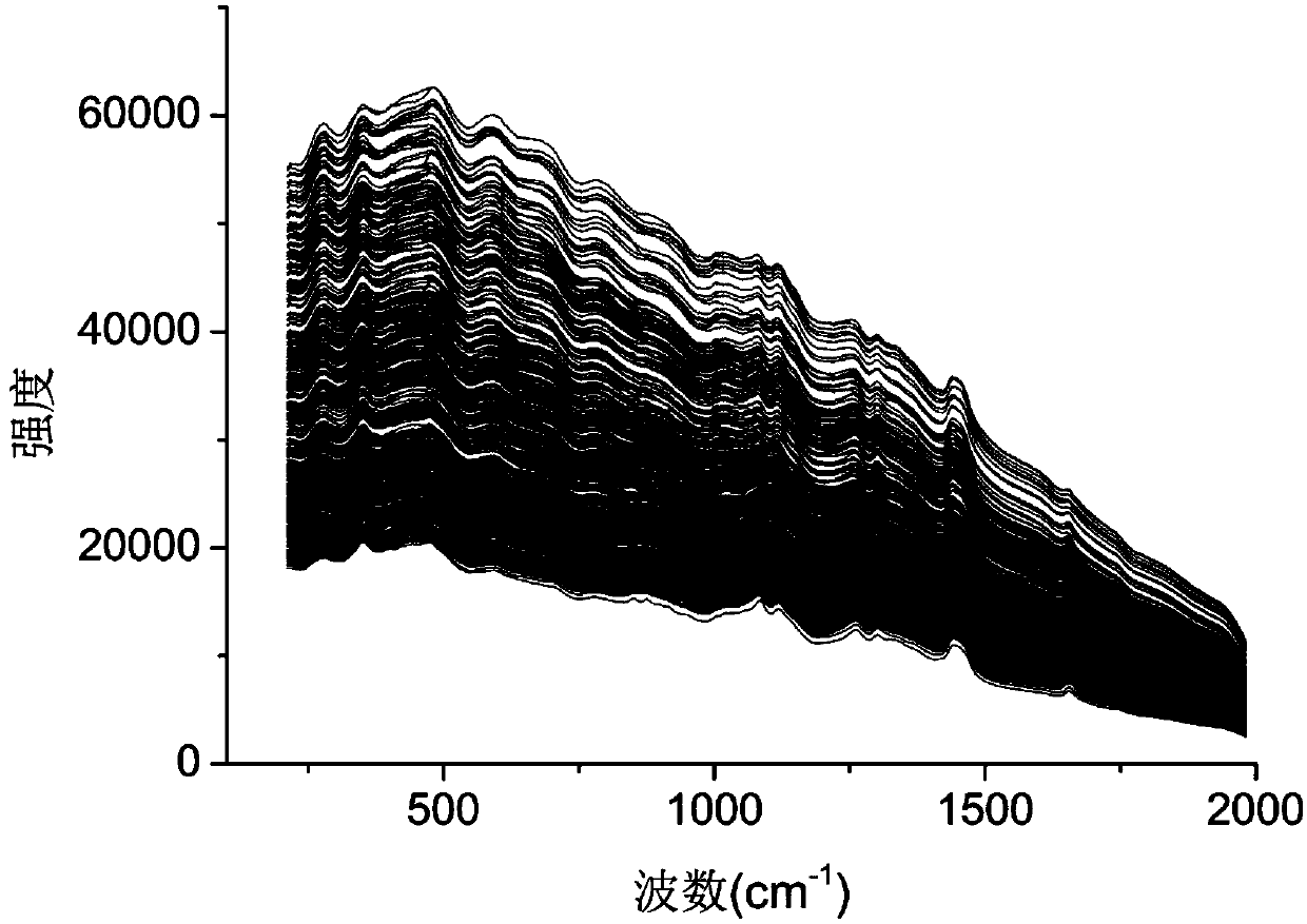 Method for measuring whey protein in dairy product on basis of data-driven Raman spectrum