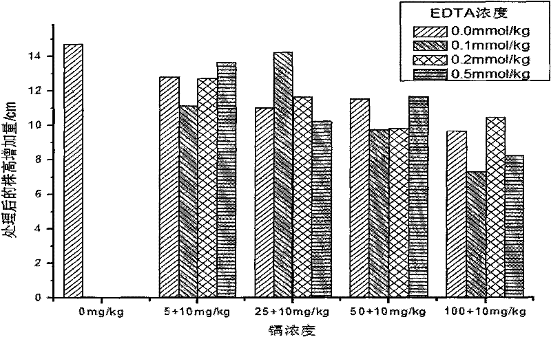 Method for restoring soil polluted by heavy metal cadmium by using mesquite