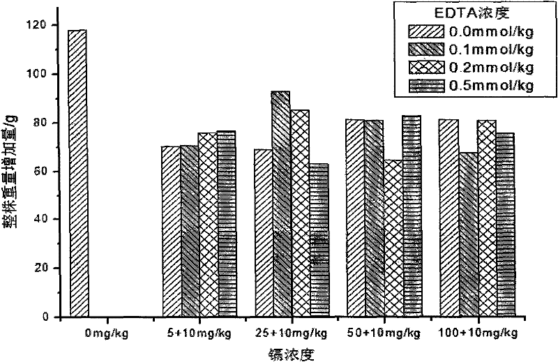 Method for restoring soil polluted by heavy metal cadmium by using mesquite