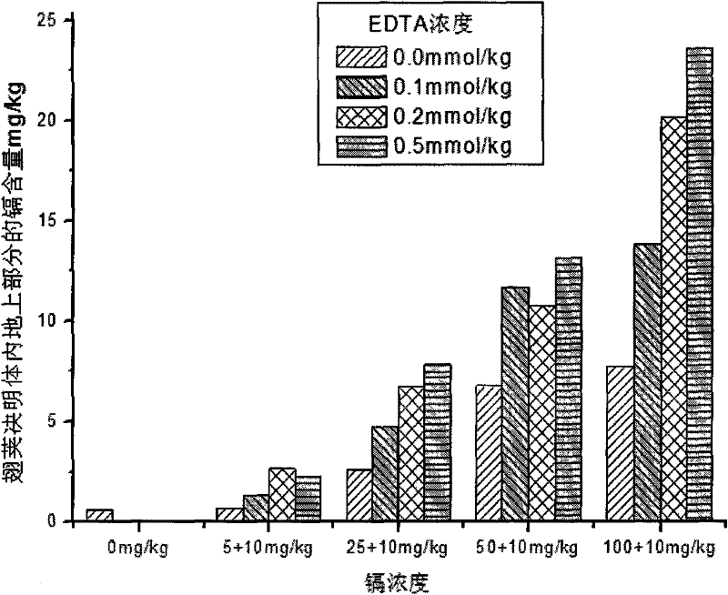 Method for restoring soil polluted by heavy metal cadmium by using mesquite