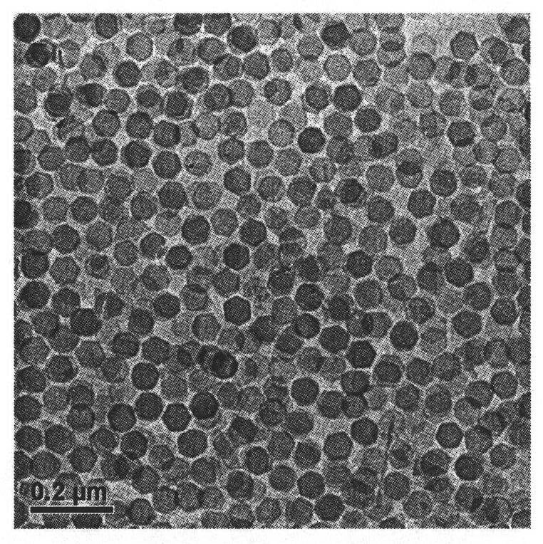 Synthesis method of palladium nano sheet