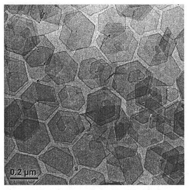 Synthesis method of palladium nano sheet