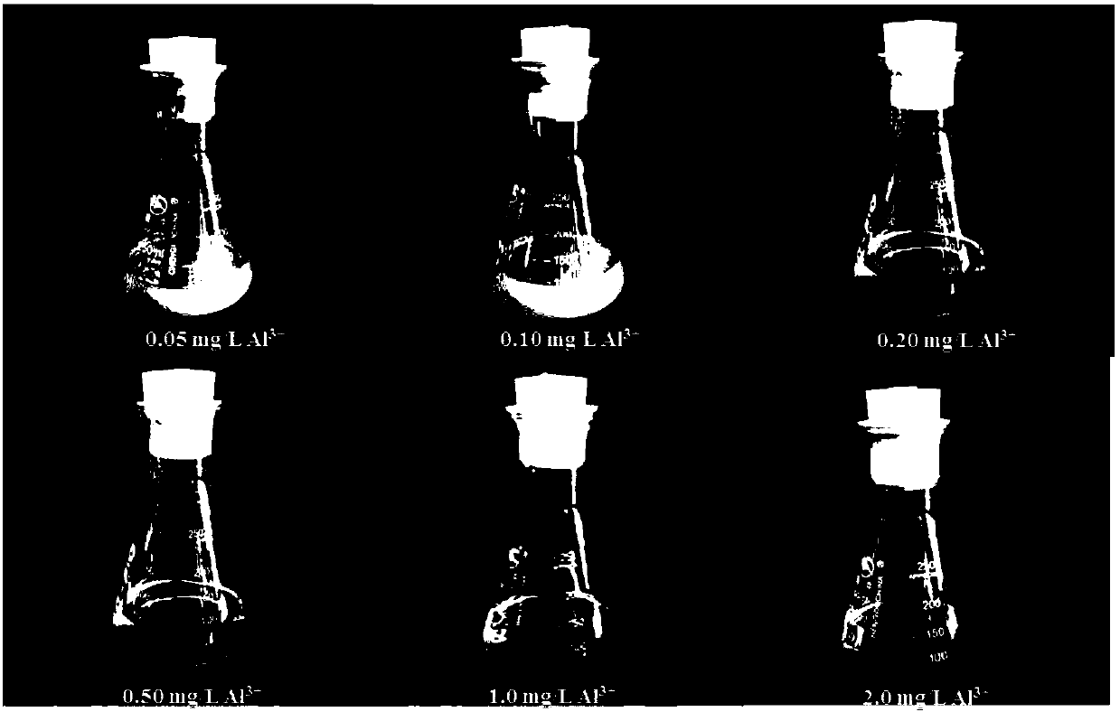 Method capable of simply and efficiently screening chlorogenic acid producing strains on culture medium