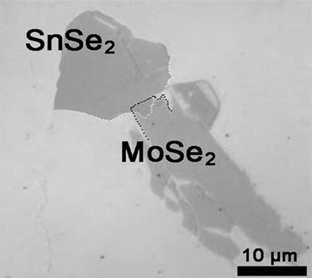 Preparation method of vertical-structure SnSe2/MoSe2 novel heterojunctions and method for modifying field effect properties thereof