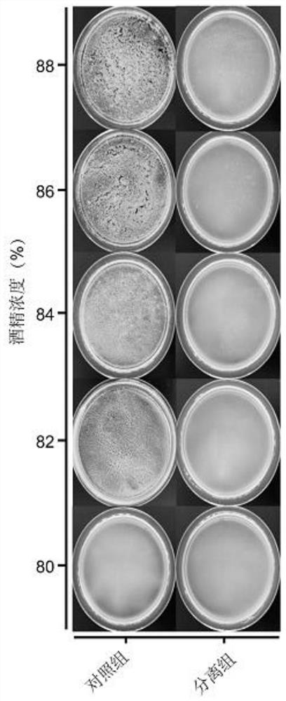 Ultrahigh-temperature sterilized milk, cow milk processing method for improving stability of ultrahigh-temperature sterilized milk and application of ultrahigh-temperature sterilized milk