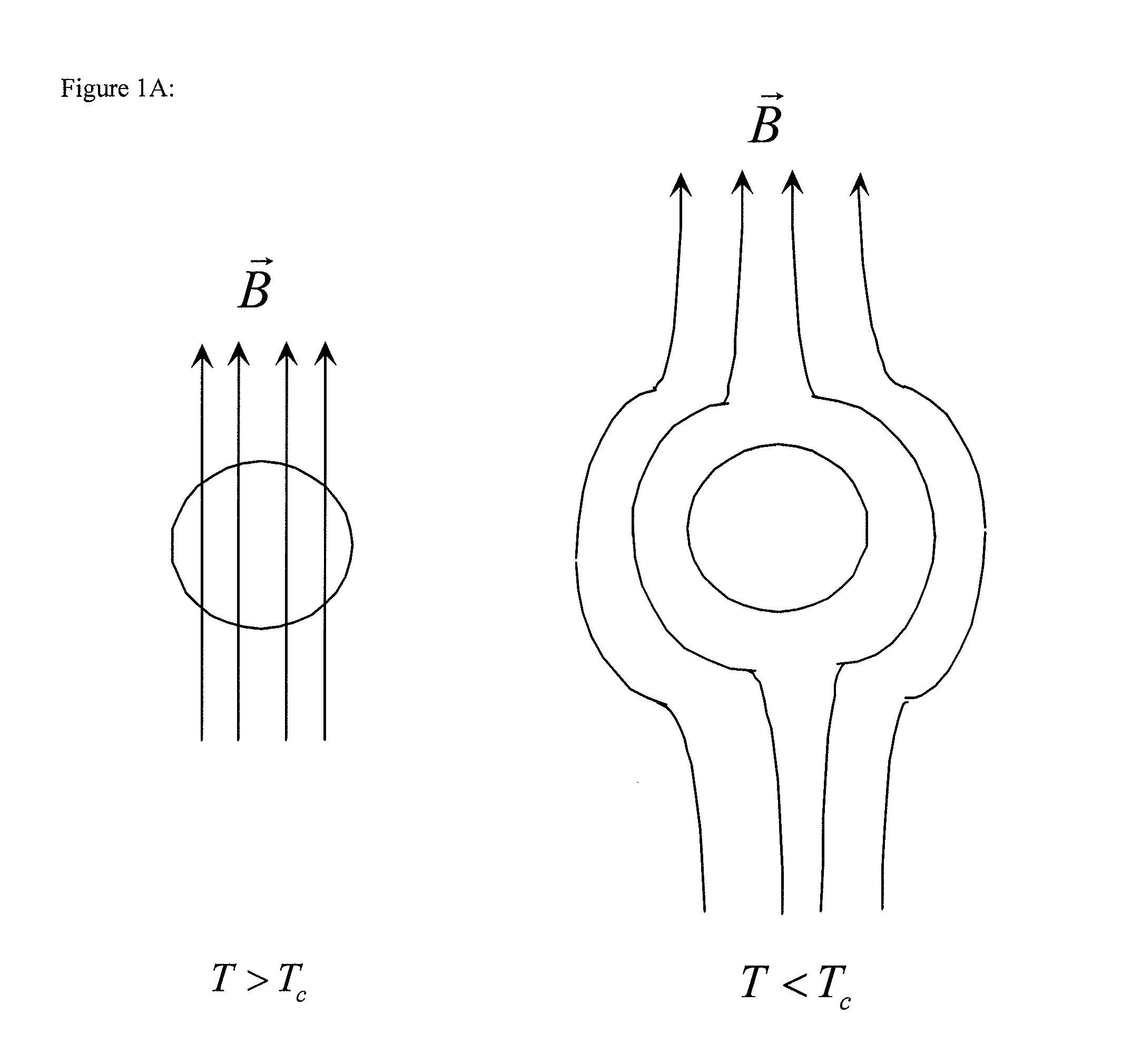 Superconducting motor