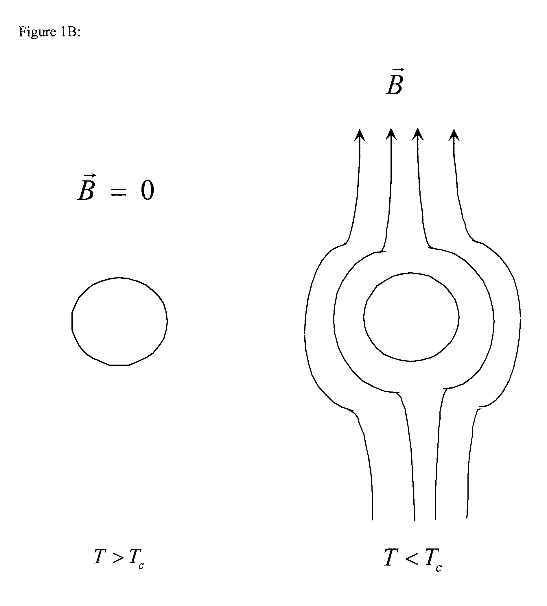 Superconducting motor