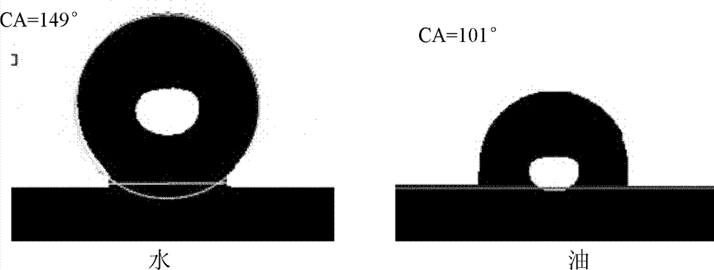 Hydrophobic olephobic epoxy paint and its preparation and application method