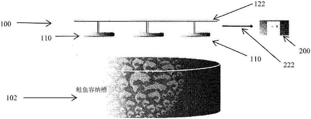 Aquaculture device, system and method