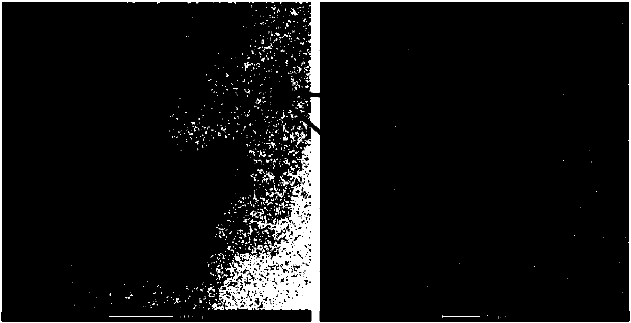 Exosome-nucleic acid aptamer liposome composite drug carrier system as well as preparation method and application thereof