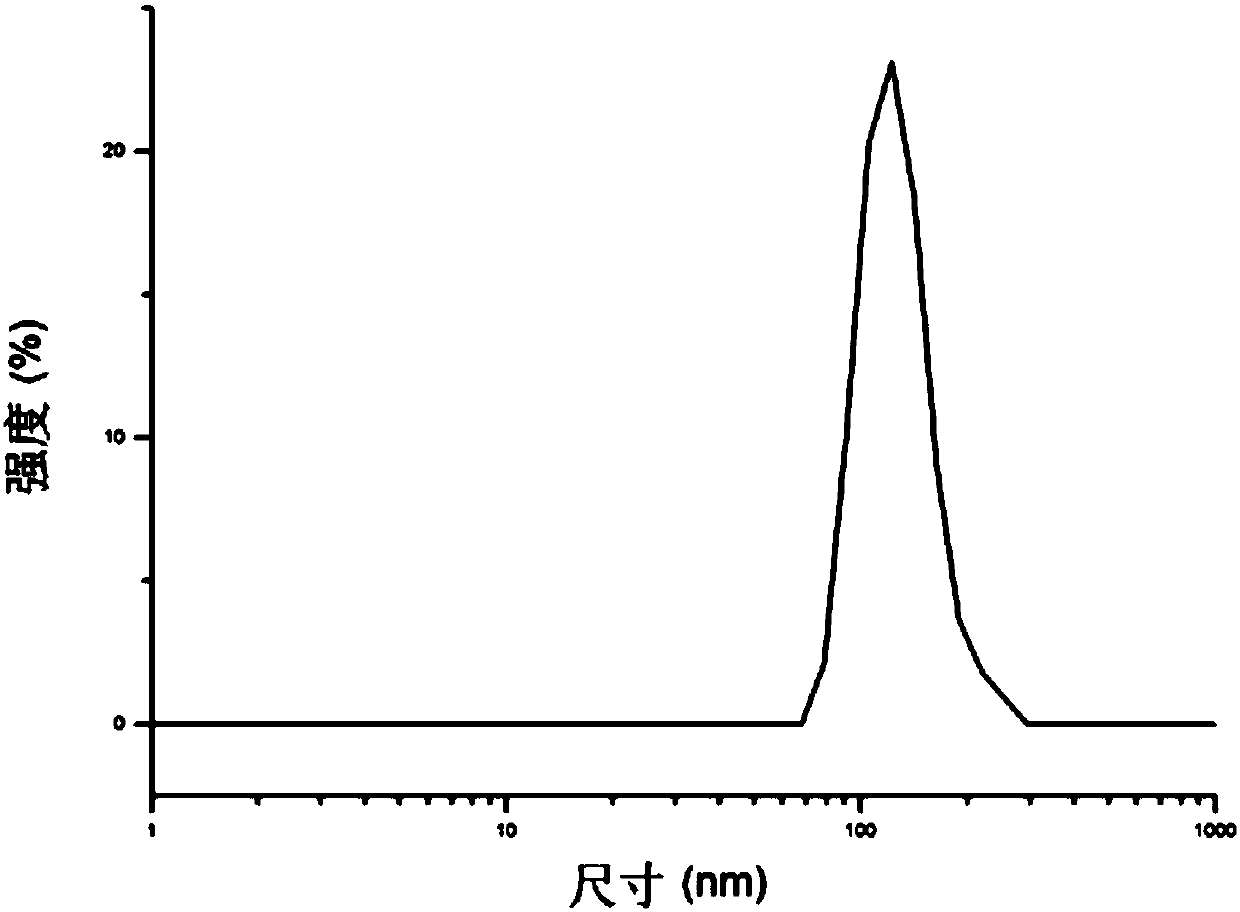 Exosome-nucleic acid aptamer liposome composite drug carrier system as well as preparation method and application thereof