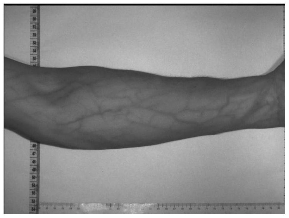 Mobile phone end vein imaging method based on deep learning