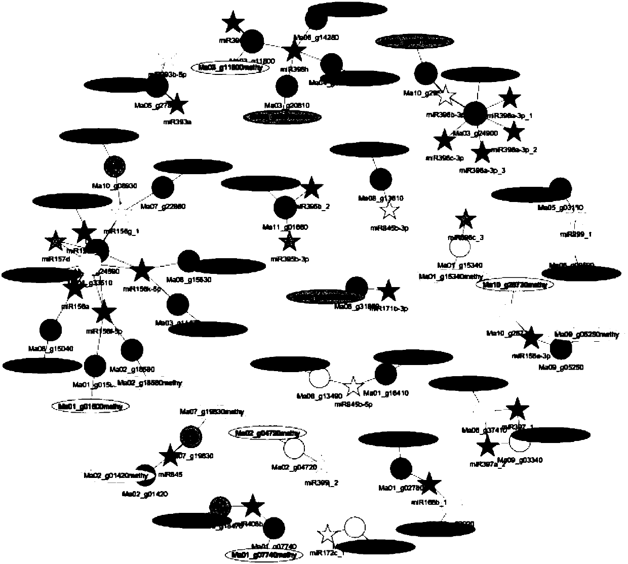 Multi-omics data combined analysis method