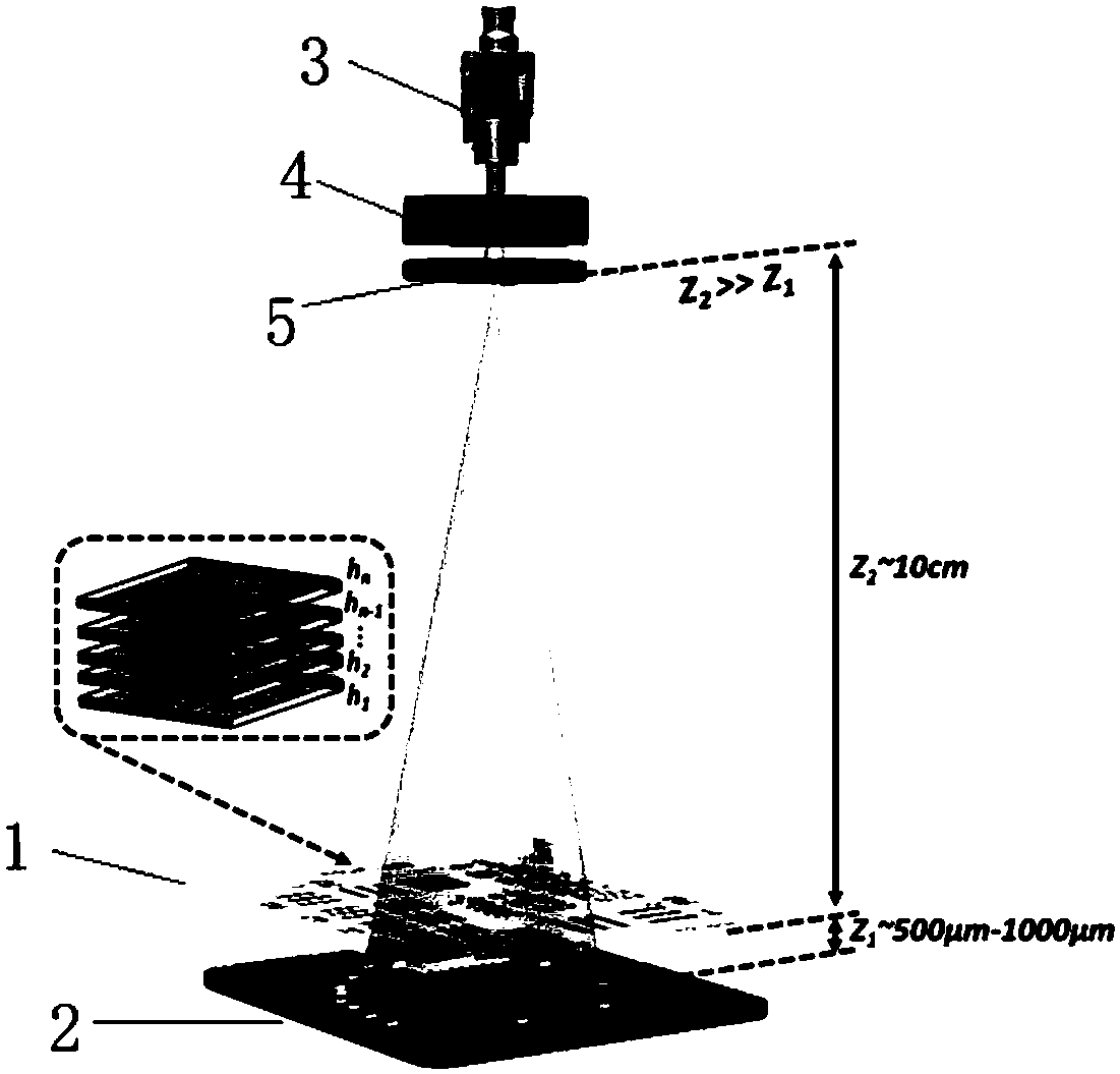 Lensless holographic microscopic phase recovery method with multi-constraint information and device thereof