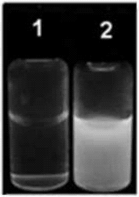 Preparation method of nanocluster composite substrate AuNPs (SG) X used for detecting Pb&lt;2+&gt; by aggregation-induced emission