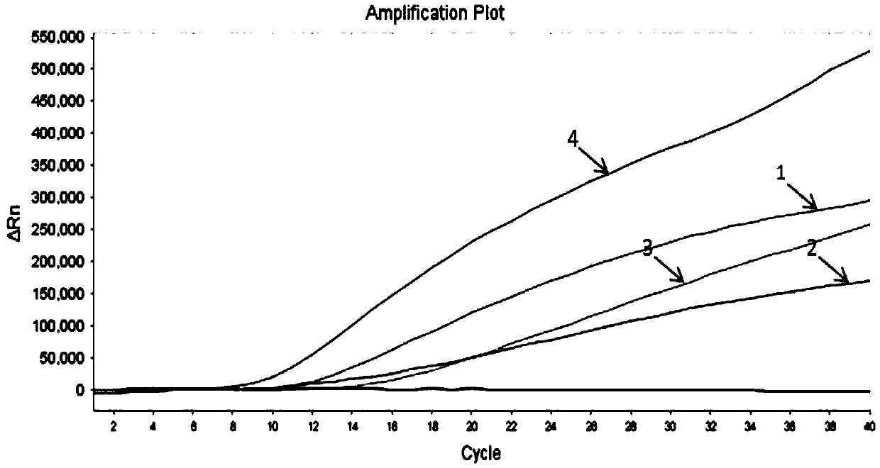 Recombinase-aid amplification (RAA) constant-temperature fluorescence detection method and reagent for Koi herpesvirus (KHV)