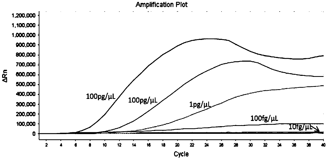 Recombinase-aid amplification (RAA) constant-temperature fluorescence detection method and reagent for Koi herpesvirus (KHV)